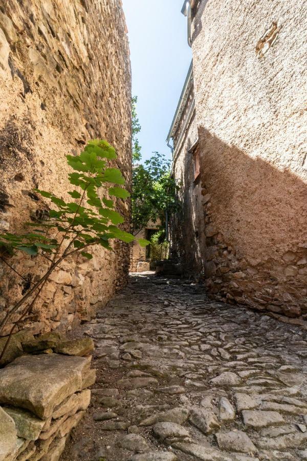 Une Calade Et Des Plumes 호텔 Mallefougasse-Auges 외부 사진